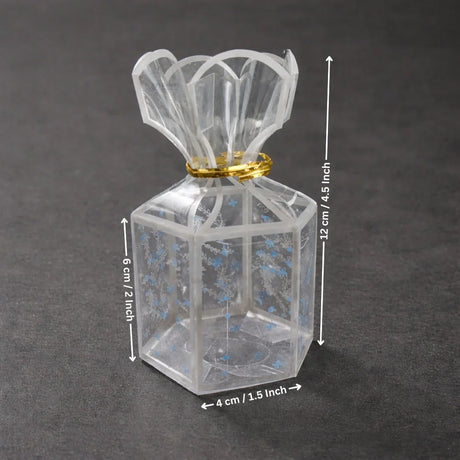 Hexagon Candy Bag Style PVC Goodie Box | Transparent Return Gift Box | 2 Sizes Available | Pack of 10