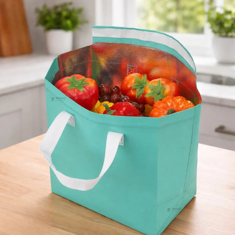 Insulated Carry Bag | Thermal Food Delivery & Storage Tote | Multiple Colors Available | 2 Size Options Available | Pack of