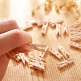 Mini Wooden Clips for Crafts, Decor & Display | Pack of 50