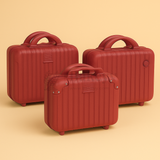 Mini Travel Storage Suitcase | Multipurpose Hard-Shell Organizer | Hand Luggage | Bag Organizer | 1 Piece