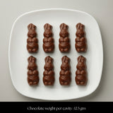 Mould 64 | Small Easter Rabbit Chocolate Mold | 6 Cavity | Pack of 1