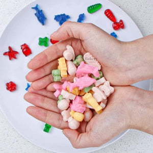 Ocean_Theme_Silicone_Chocolate_Mould_3 - Bakeyy.com