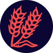 Bakeyy.com logo