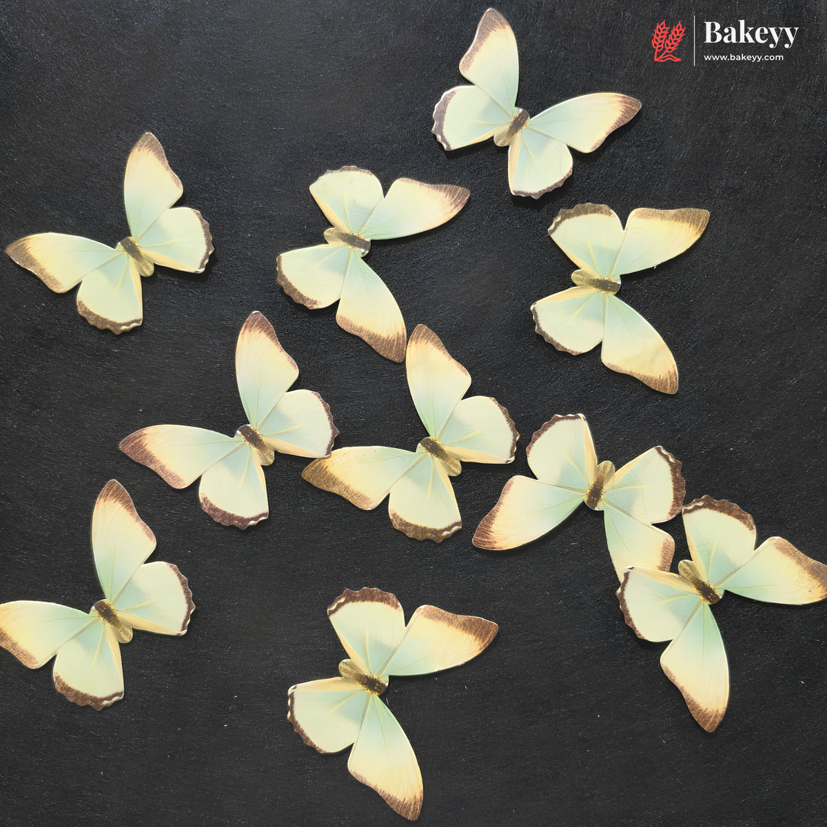 Pastel Wing Butterfly Cake Topper For Cake Decoration | 10 Butterfly Per Pack | Pack of 1