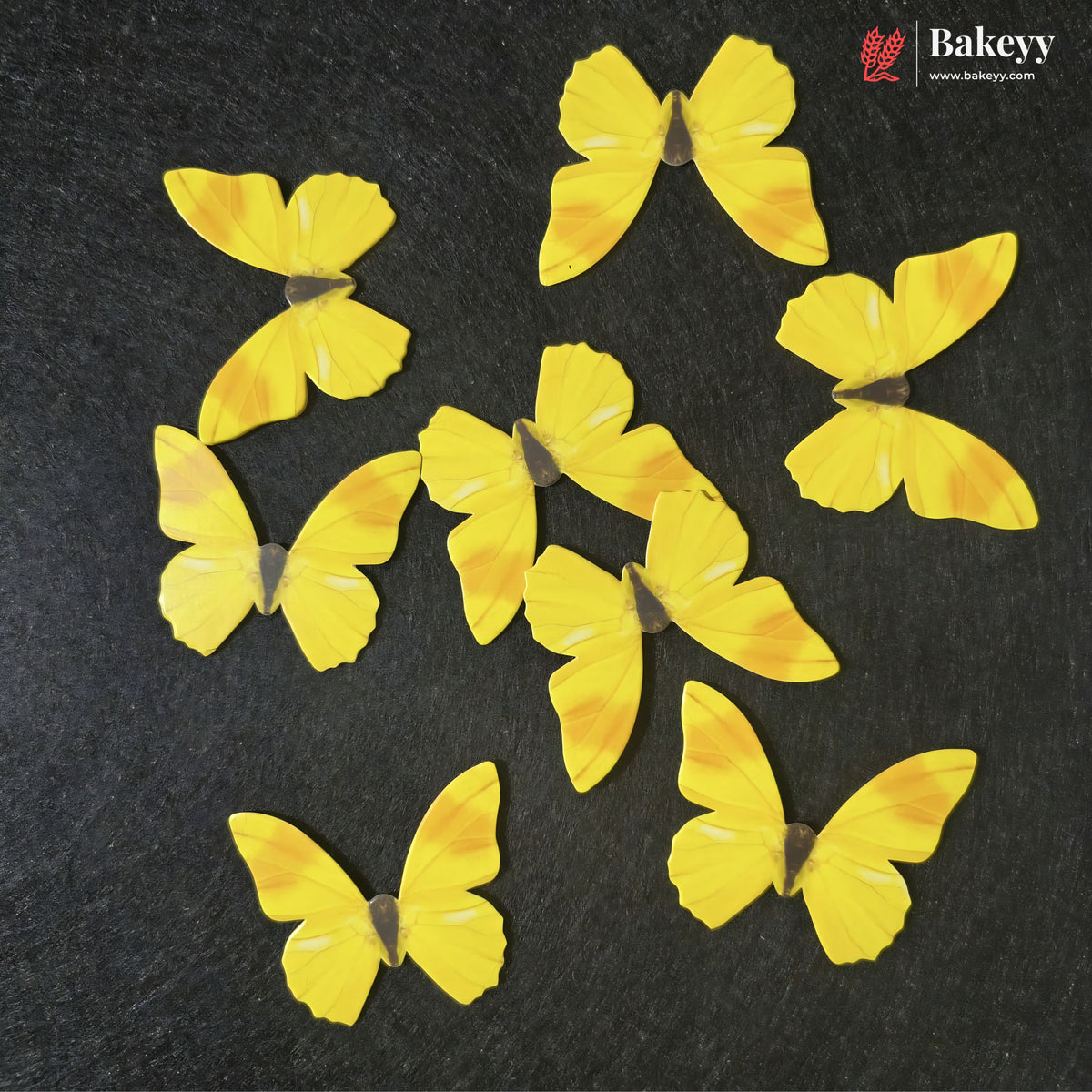 Pastel Wing Butterfly Cake Topper For Cake Decoration | 10 Butterfly Per Pack | Pack of 1