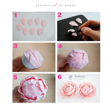 Peony Flower Fondant Cutter Set | Multi-Size Petal Cutters for Realistic Sugar Flowers | Pack of 4