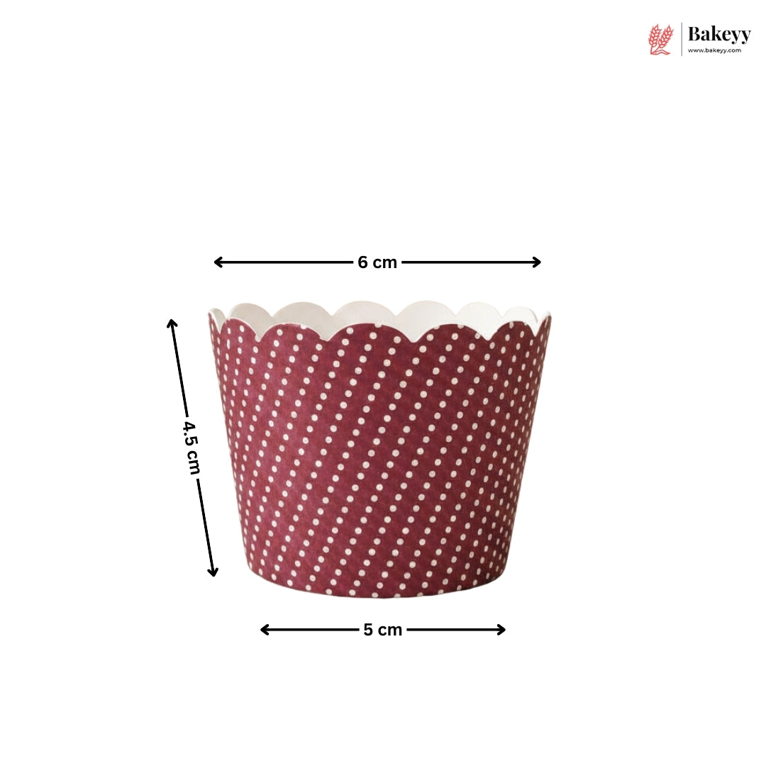 Red and white polka dot cupcake liner with measurements on a white background