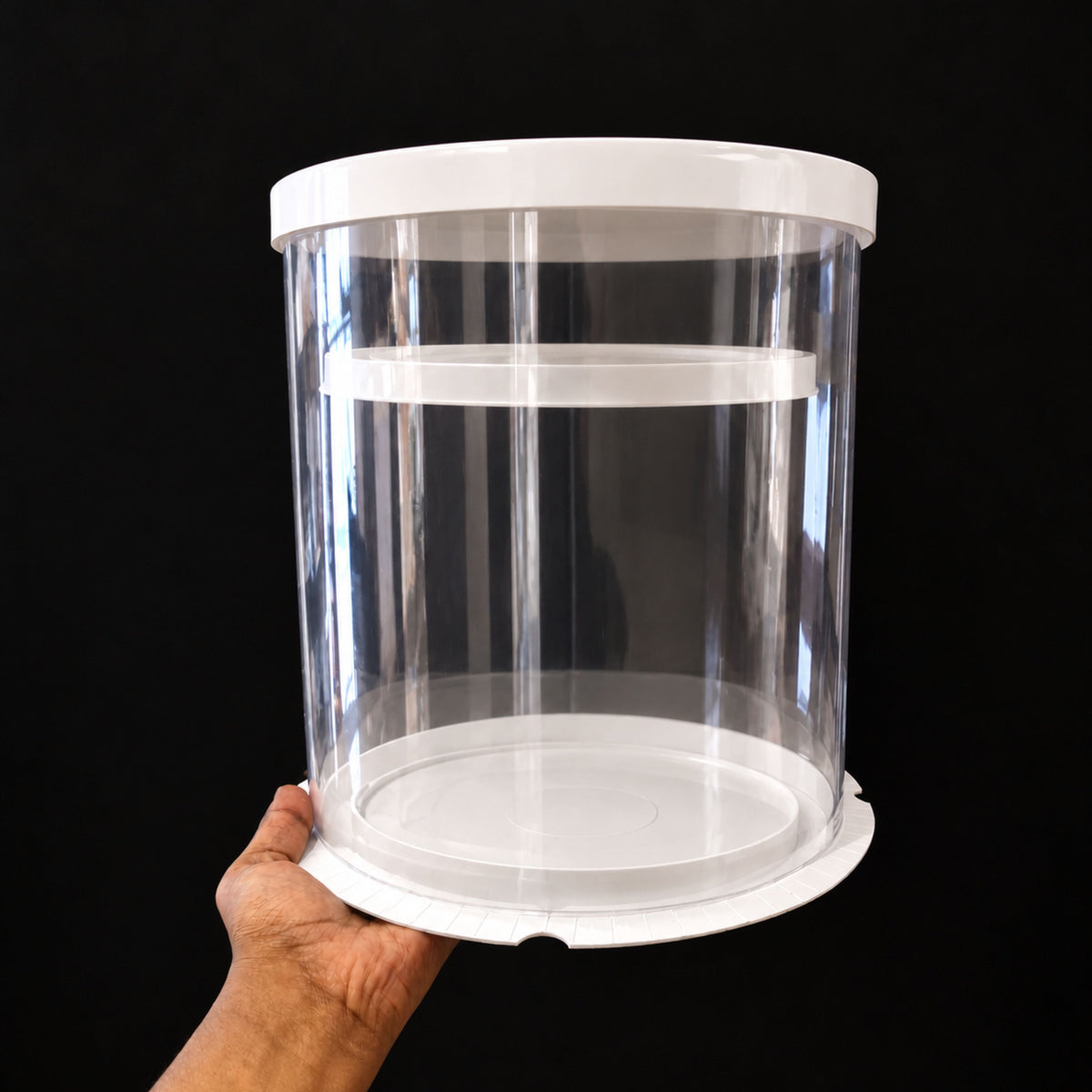 Round Transparent Cake Box with White Lid & Base | Flower Petal Cake Packaging Box | Pack of 5
