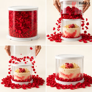 Round Transparent Cake Box with White Lid & Base | Flower Petal Cake Packaging Box | Pack of 5