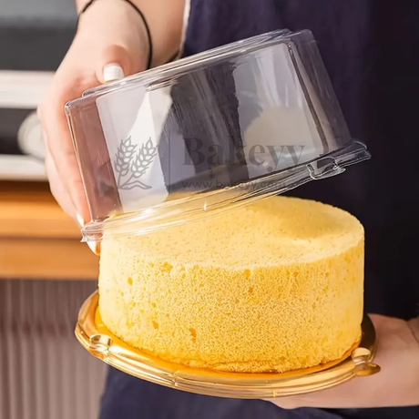 Round cake in a clear plastic container held by a person