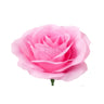 8cm - Artificial Roses Without Stem | Pack of 10