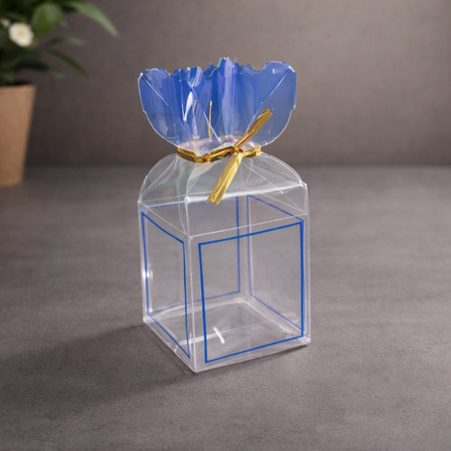 Transparent PVC Candy Bag Style Goodie Box | Decorative Gift & Favor Packaging | Available in 3 Colors | Pack of 10