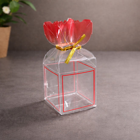 Transparent PVC Candy Bag Style Goodie Box | Decorative Gift & Favor Packaging | Available in 3 Colors | Pack of 10