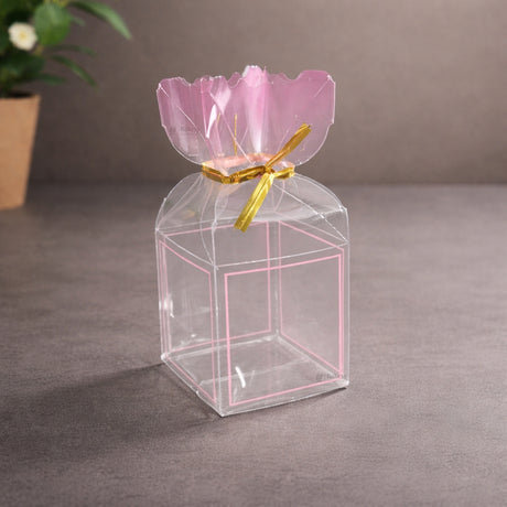Transparent PVC Candy Bag Style Goodie Box | Decorative Gift & Favor Packaging | Available in 3 Colors | Pack of 10