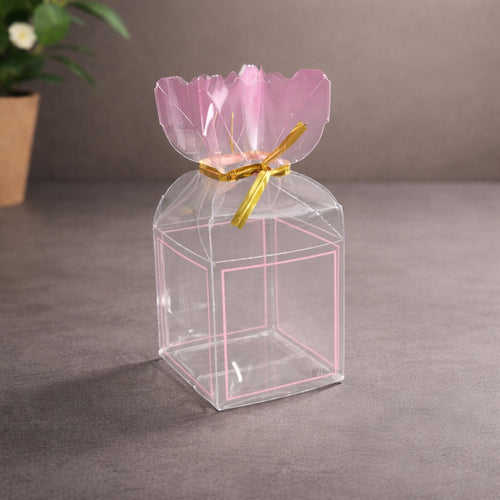Transparent PVC Candy Bag Style Goodie Box | Decorative Gift & Favor Packaging | Available in 3 Colors | Pack of 10