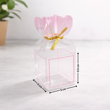 Transparent PVC Candy Bag Style Goodie Box | Decorative Gift & Favor Packaging | Available in 3 Colors | Pack of 10