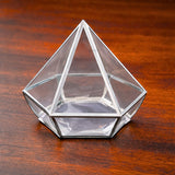 Transparent Diamond Shape PVC Goodie Box | Premium Gift & Favor Packaging | Pack of 10