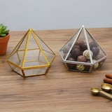 Transparent Diamond Shape PVC Goodie Box | Premium Gift & Favor Packaging | Pack of 10