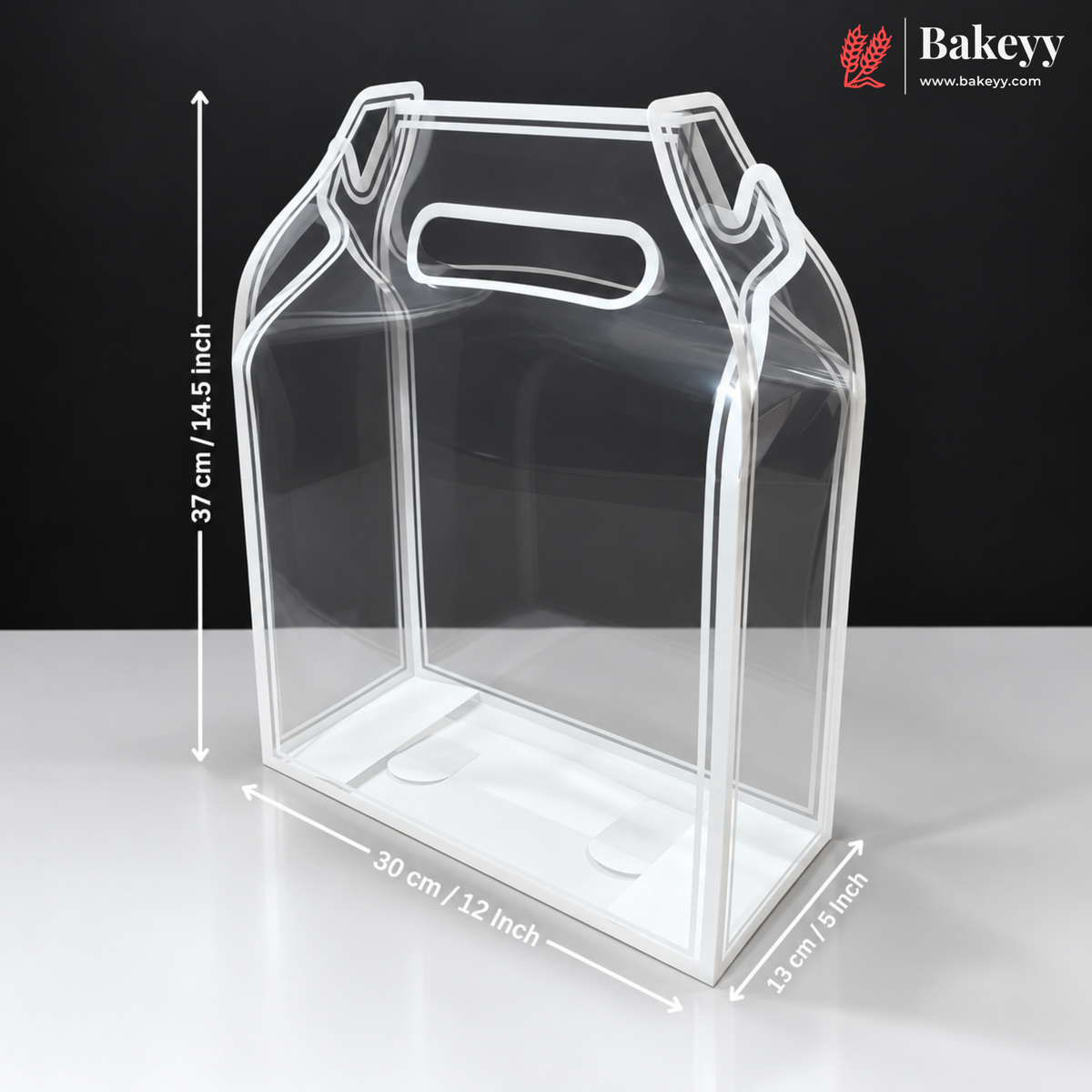 Transparent PVC Carry Bag with Handle | Black & White Border | 2 Sizes Available | Pack of 12