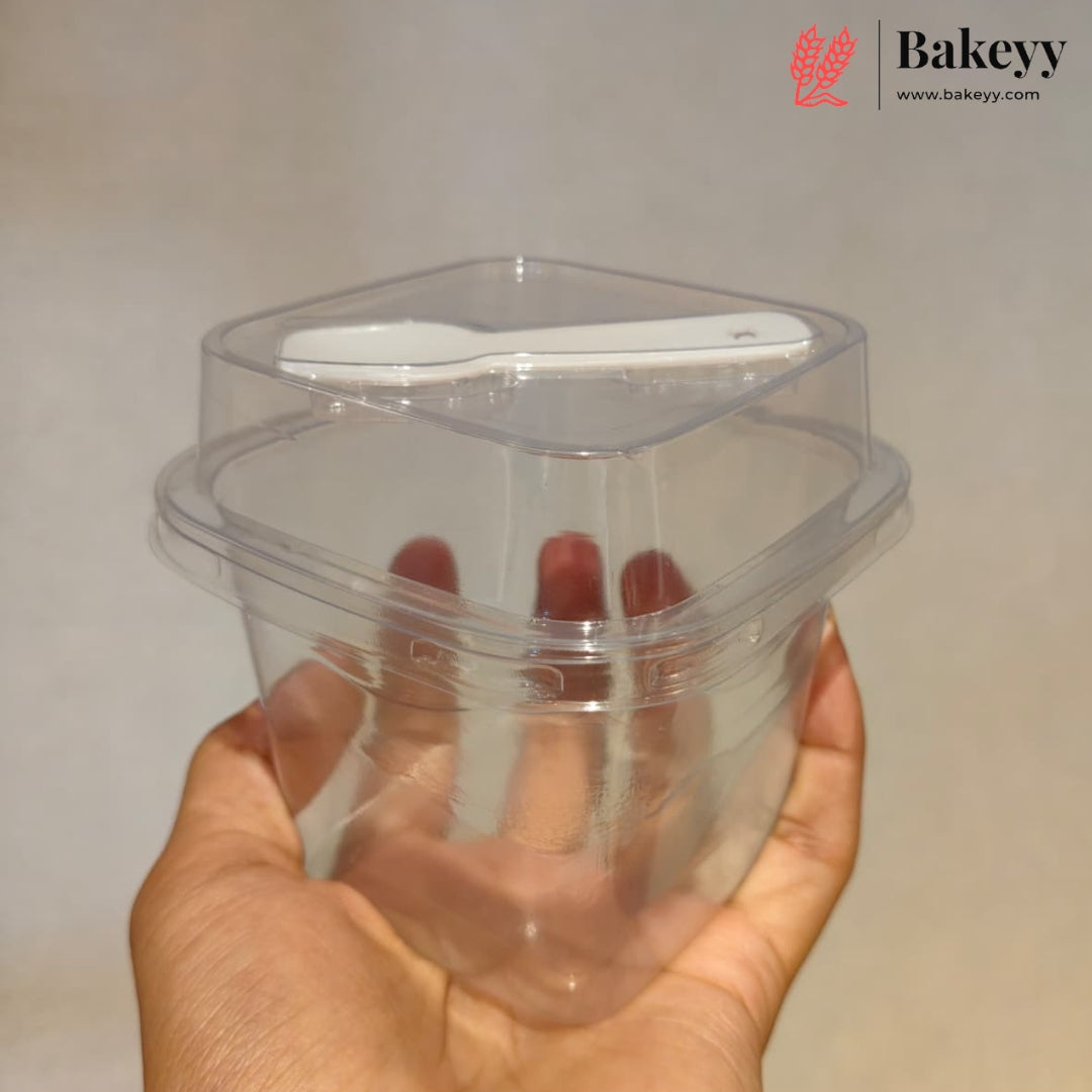 Transparent Plastic Serving & Storage Container with Spoon | Pack of 50
