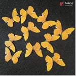 Pastel Wing Butterfly Cake Topper For Cake Decoration | 10 Butterfly Per Pack | Pack of 1