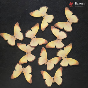 Pastel Wing Butterfly Cake Topper For Cake Decoration | 10 Butterfly Per Pack | Pack of 1