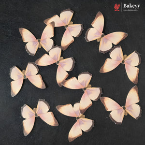 Pastel Wing Butterfly Cake Topper For Cake Decoration | 10 Butterfly Per Pack | Pack of 1