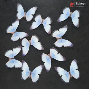 Pastel Wing Butterfly Cake Topper For Cake Decoration | 10 Butterfly Per Pack | Pack of 1