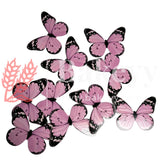 A3 Pink| Decorative Butterfly Cake Toppers | Birthday cake decorations | Party cake decoration | 6cm x 5cm| Pack of 10 - Bakeyy.com - India - A3 Pink| Decorative Butterfly Cake Toppers | Birthday cake decorations | Party cake decoration | 6cm x 5cm| Pack of 10 - Default Title