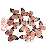 A2 Peach| Decorative Butterfly Cake Toppers | Birthday cake decorations | Party cake decoration | 6cm x 5cm| Pack of 10 - Bakeyy.com - India - A2 Peach| Decorative Butterfly Cake Toppers | Birthday cake decorations | Party cake decoration | 6cm x 5cm| Pack of 10 - Default Title