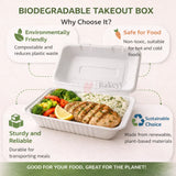 White Disposable Food Container with Lid | Meal Box Takeaway Packaging | Pack of 50 - Bakeyy.com - India - White Disposable Food Container with Lid | Meal Box Takeaway Packaging | Pack of 50 - Default Title 770.00