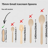 Wooden Disposable Spoons | Pack of 100