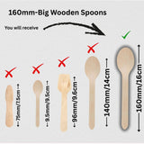 Wooden Disposable Spoons | Pack of 100