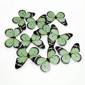 butterfly_topper_16 - Bakeyy.com