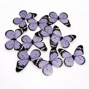 butterfly_topper_17 - Bakeyy.com
