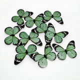 3D Black-Edged - Pastel Inside Print Butterfly Cake Toppers | Elegant Decoration for Cakes, Cupcakes & Desserts | Multiple Color Options Available | Pack of 1