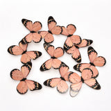 3D Black-Edged - Pastel Inside Print Butterfly Cake Toppers | Elegant Decoration for Cakes, Cupcakes & Desserts | Multiple Color Options Available | Pack of 1