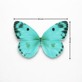 Watercolour-Blend Butterfly Cake Toppers | Soft Gradient Wings with Speckled Tips | Multiple Color Options Available | Pack of 1