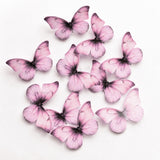 Leaf-Vein Butterfly Cake Toppers | Nature-Inspired Gradient Wing Design | Multiple Color Options Available | Pack of 1
