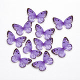 Watercolour-Blend Butterfly Cake Toppers | Soft Gradient Wings with Speckled Tips | Multiple Color Options Available | Pack of 1