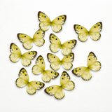 Watercolour-Blend Butterfly Cake Toppers | Soft Gradient Wings with Speckled Tips | Multiple Color Options Available | Pack of 1