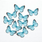 butterflytopper_78 - Bakeyy.com