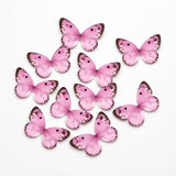 Watercolour-Blend Butterfly Cake Toppers | Soft Gradient Wings with Speckled Tips | Multiple Color Options Available | Pack of 1