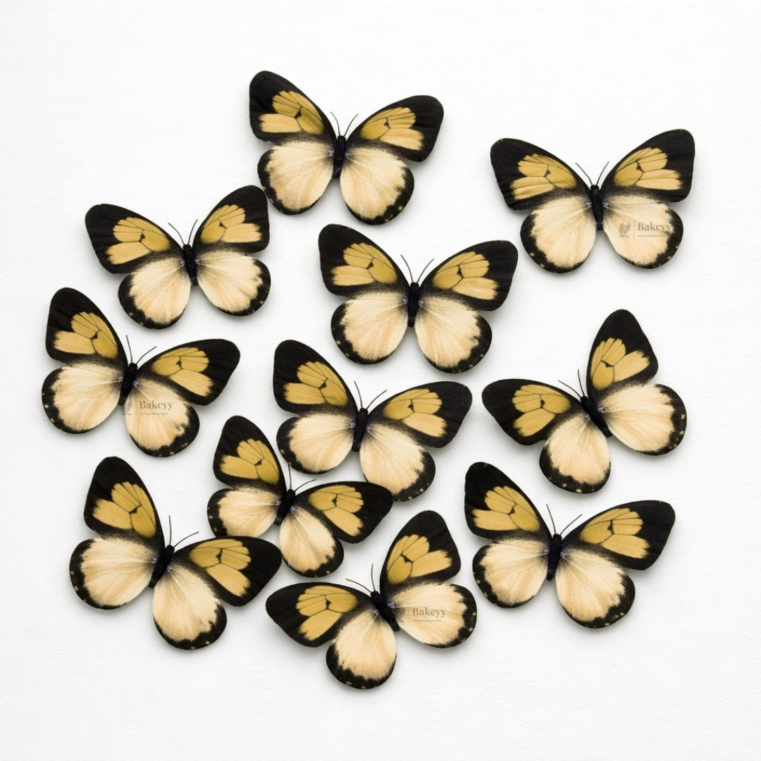 Black-Edged Heartwing Butterfly Toppers | Dual-Tone Gradient Wings with Bold Outline | Multiple Color Options Available | Pack of 1