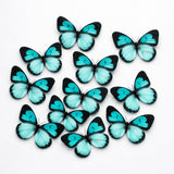 Black-Edged Heartwing Butterfly Toppers | Dual-Tone Gradient Wings with Bold Outline | Multiple Color Options Available | Pack of 1