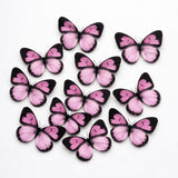 Black-Edged Heartwing Butterfly Toppers | Dual-Tone Gradient Wings with Bold Outline | Multiple Color Options Available | Pack of 1