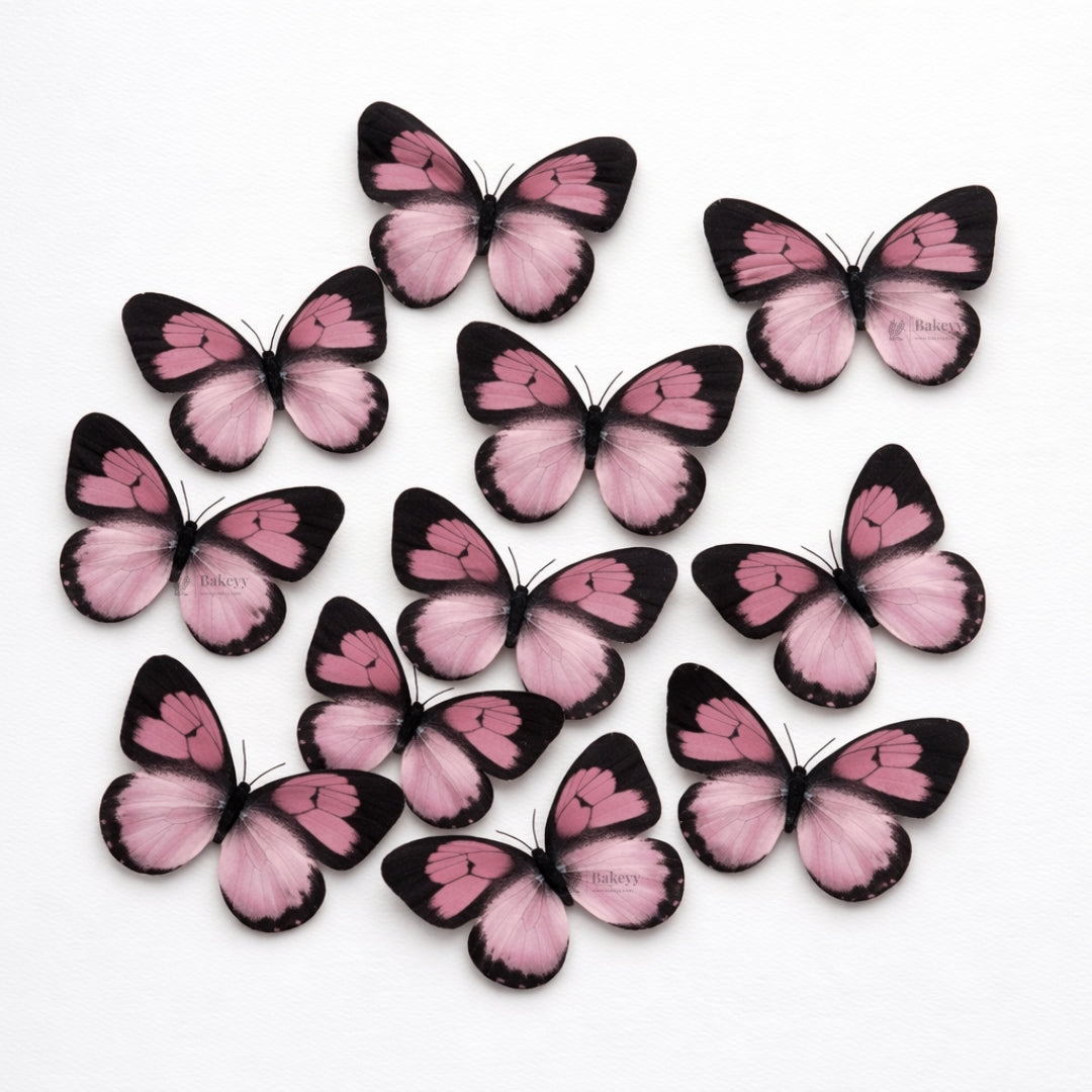 Black-Edged Heartwing Butterfly Toppers | Dual-Tone Gradient Wings with Bold Outline | Multiple Color Options Available | Pack of 1