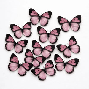 butterflytopper_87 - Bakeyy.com