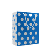 Paper Bag Polka Dot Lite Blue | Pack of 10 - Bakeyy.com - India - Paper Bag Polka Dot Lite Blue | Pack of 10 - Default Title