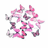 Pink edible wafer butterfly cake toppers from Bakeyy, baking supplies India